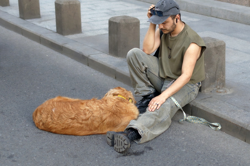 Person sitting on a paved surface next to a dog, capturing a quiet moment of companionship